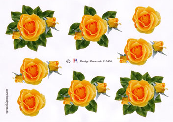 Gul rose med rosenknopper, HM design, 10 ark