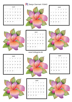Fersken og lilla blomst + juni kalender, HM design, 10 ark