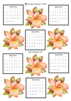 Ferskenfarvet blomst + september kalender, HM design, 10 ark