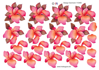 Pink, fersken og lyserød blomst, HM design, 10 ark