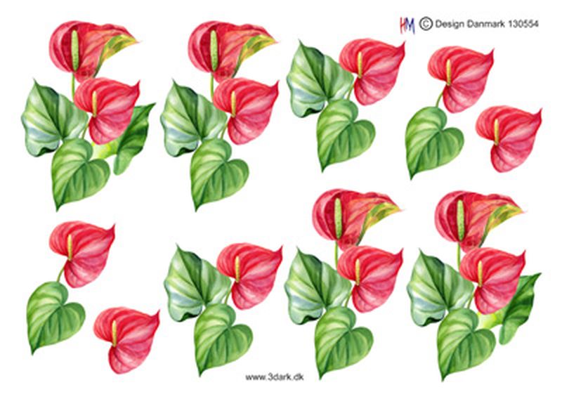 blomstermotiver clipart sun